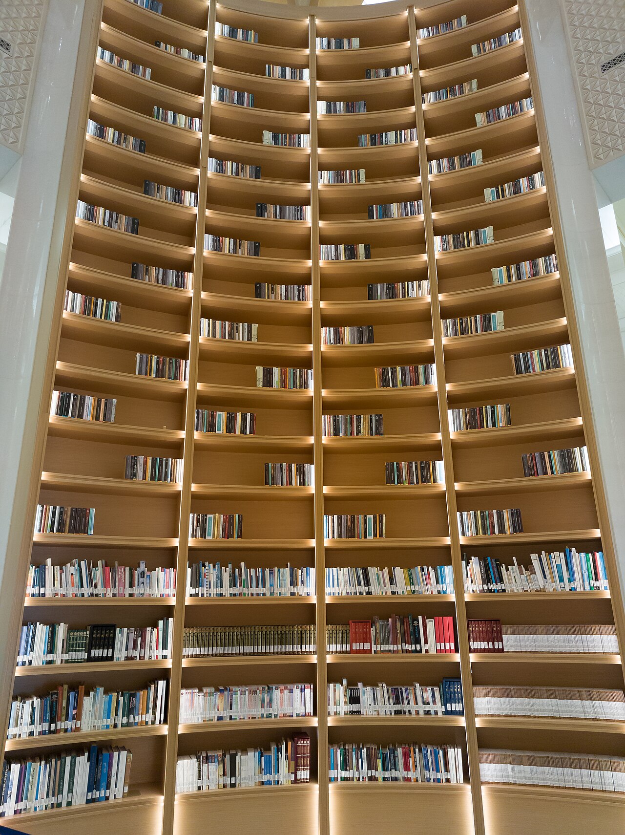 مكتبة قصر الوطن — الرفوف المنحنية
